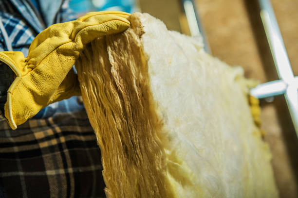 Best Insulation Maintenance and Repair in St Johns, MI
