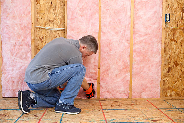 Best Commercial Insulation in St Johns, MI